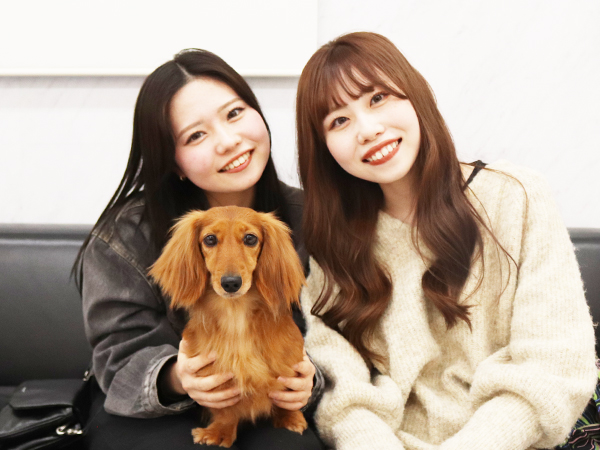 モデル犬の新しい家族が決まりました！PART②